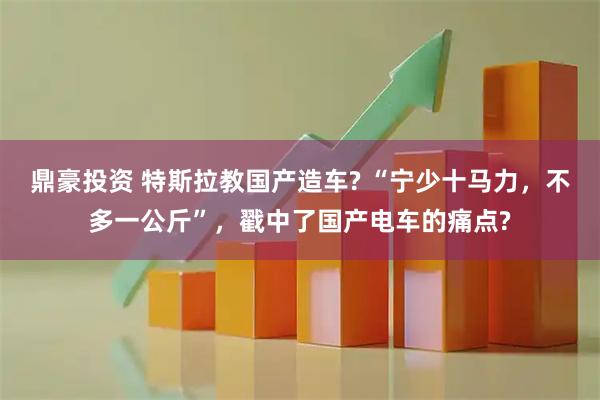 鼎豪投资 特斯拉教国产造车? “宁少十马力，不多一公斤”，戳中了国产电车的痛点?