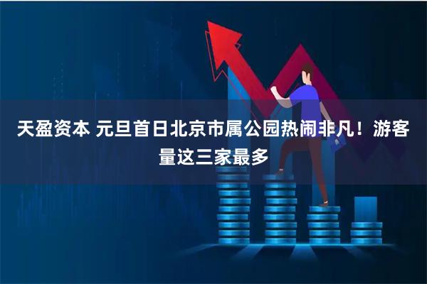天盈资本 元旦首日北京市属公园热闹非凡！游客量这三家最多